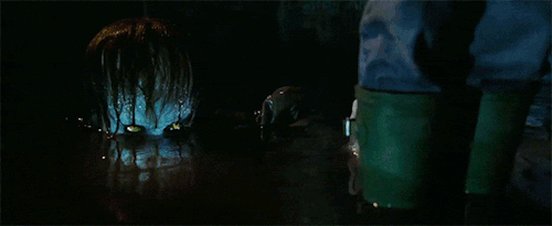 Stephen King đánh giá IT: Chapter 2 với hai từ xuất sắc  3