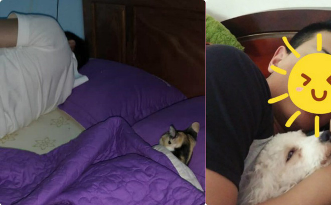 Mới sinh nên đẩy chồng sang phòng khác ngủ, vợ phát hiện "kẻ thứ ba" khi nửa đêm mở cửa