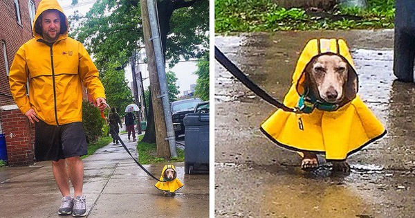 Tham khảo ngay cách nuôi dạy boss của các con sen thông thái trên reddit