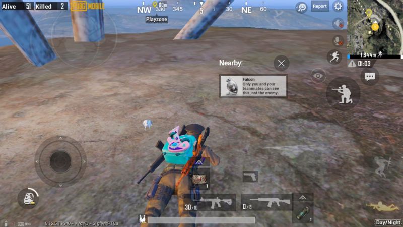 PUBG Mobile - Những khu vực tốt nhất để có được thú cưng cho mình 