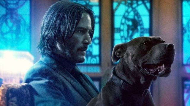 John Wick: Chapter 4 - ấn định ngày chuẩn bị ra mắt trong tương lai