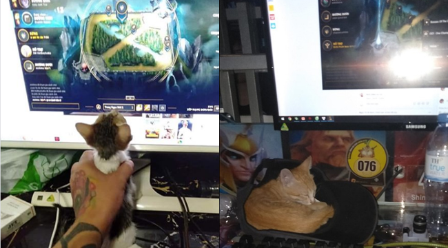 Ôm “boss” đi net: Trào lưu mới của cộng đồng Liên Minh Huyền Thoại Việt Nam