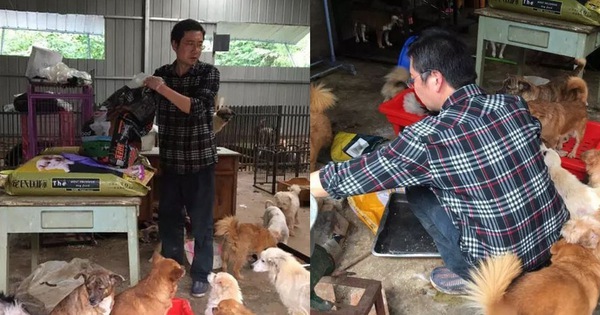 Người đàn ông cưu mang chó hoang đến 'tán gia bại sản', bố mẹ nghỉ hưu cũng quay lại làm việc phụ con trả nợ