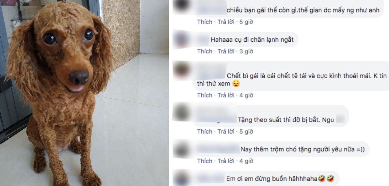 Để thể hiện tình cảm, người đàn ông đi trộm chó cảnh tặng người yêu