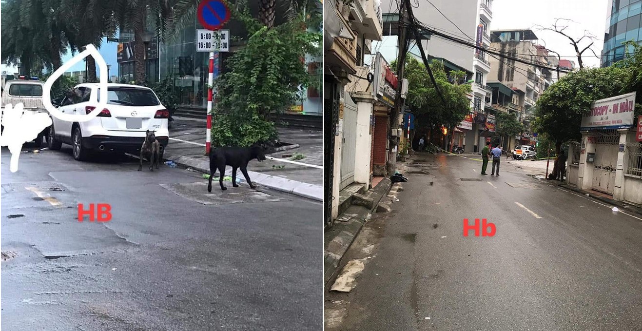 Cả tuyến phố bị phong tỏa vì 3 con chó dữ lao ra khỏi xe ô tô, người dân tá hỏa không dám đi lại