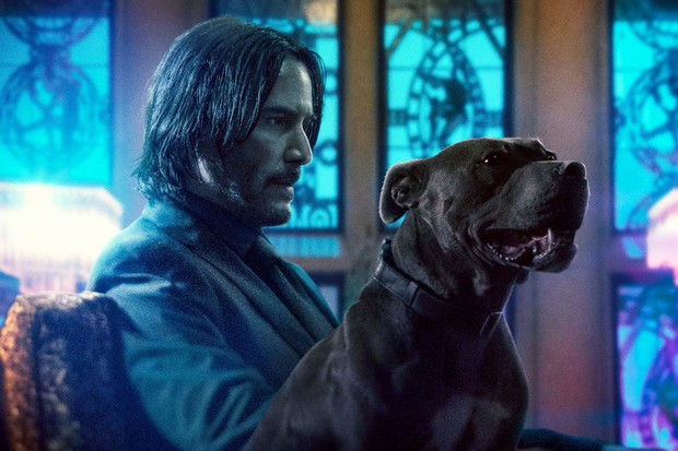 Ngôi sao John Wick đang đàm phán để bước vào Vũ trụ điện ảnh Marvel