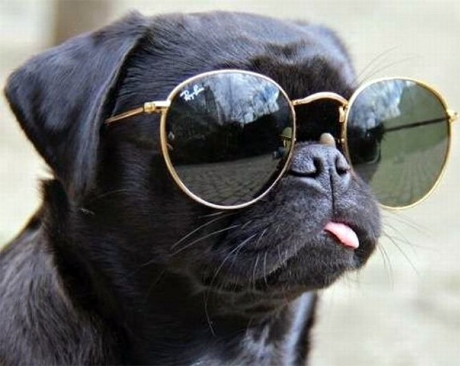 Chill có nghĩa gì? Định nghĩa từ Chill trong mọi hoàn cảnh và cách dùng chính xác nhất mà không sợ sai