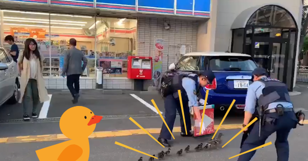 Chỉ có ở Nhật Bản: Mẹ con nhà vịt được cảnh sát hộ tống sang đường, thu hút đến 15 triệu lượt xem trên MXH