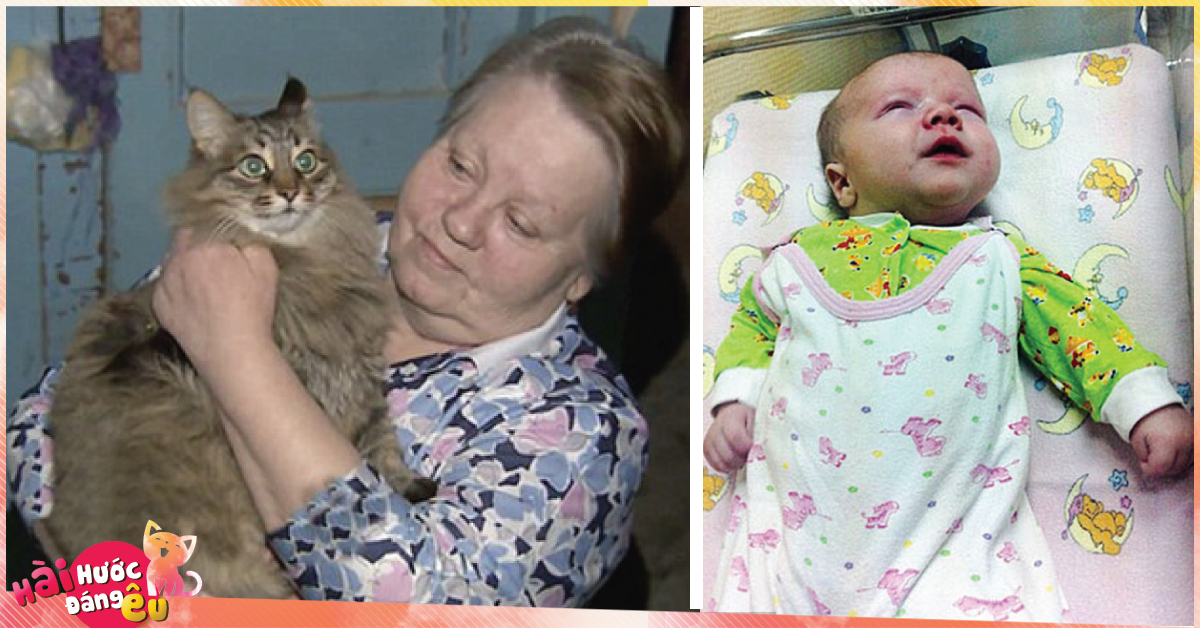 Chú mèo béo ú này đã dùng mỡ và lông của mình để sưởi ấm cứu sống 1 bé trai bị bỏ rơi giữa mùa đông lạnh giá