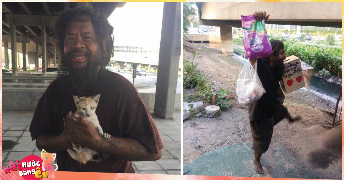 Người đàn ông vô gia cư này ngày ngày bán chanh trên phố để cưu mang những con mèo đi lạc