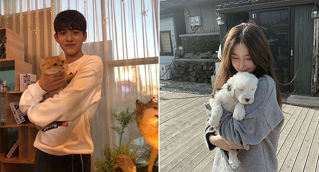 Khoa Học Chứng Minh: Người Thường Hay Nói Chuyện Với Chó, Mèo Đều Rất Thông Minh