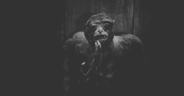 Cuộc sống cô độc của động vật trong sở thú ở Bangladesh