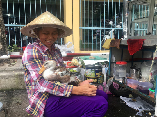 CLIP: Kỳ lạ con vịt biết làm nũng, biết phân biệt lạ, quen ở Phú Nhuận