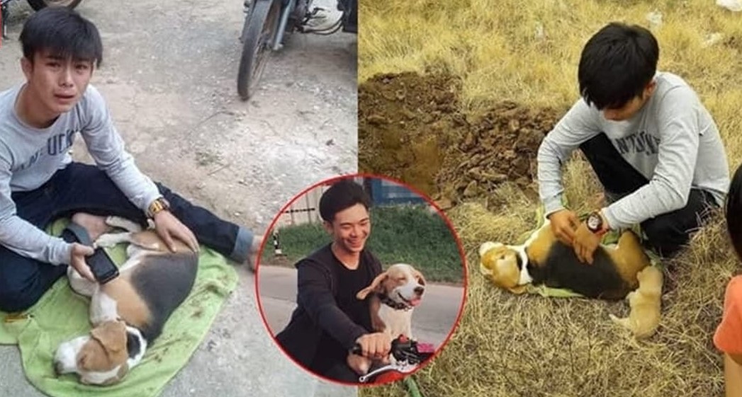 “Bạn thân” bị tai nạn, chàng trai khóc cạn nước mắt: Ngày hôm ấy thế giới của anh sụp đổ!