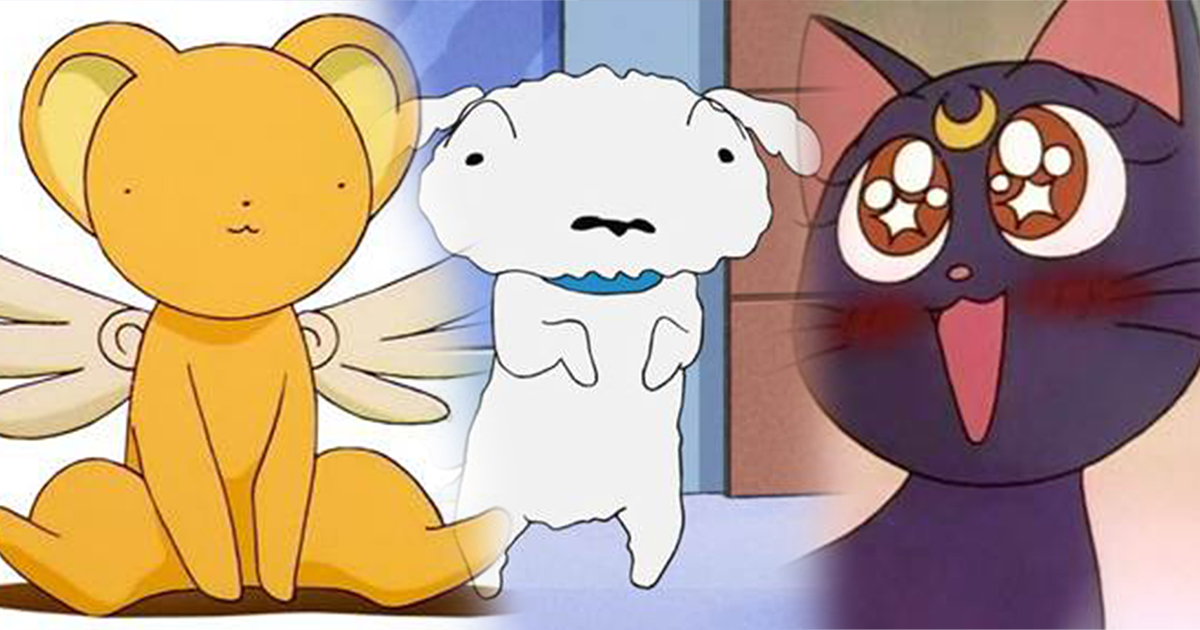 Tan chảy với loạt pet trong các anime lừng danh