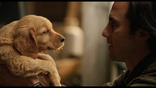 Cuộc đời phi thường của chú chó Enzo: Cuộc đời sẽ ra sao nếu được nhìn qua ánh mắt của một chú chó?