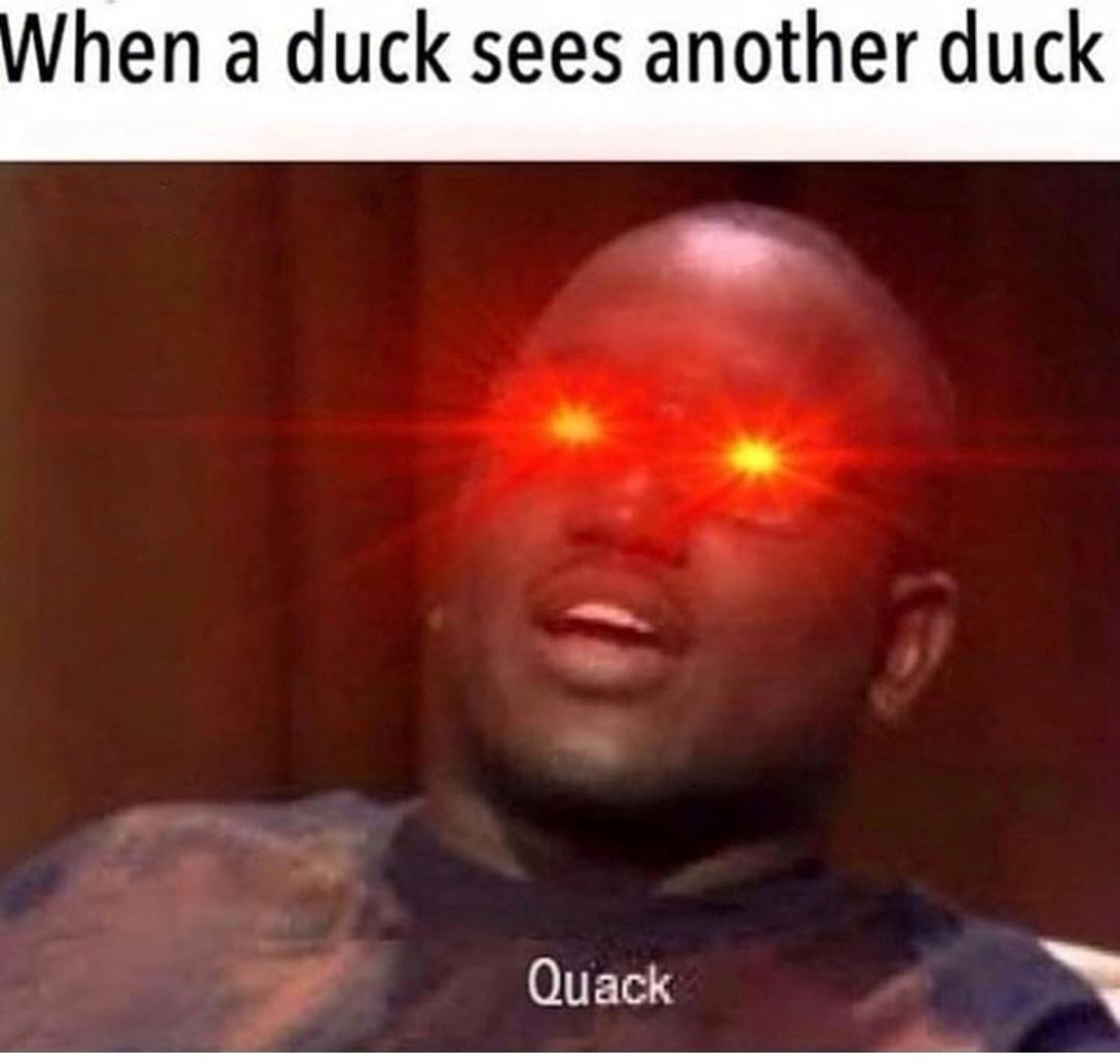 Dank meme là gì Dark Meme hay Dảk là gì và vì sao nó lại quá nổi tiếng  trên Internet như thế