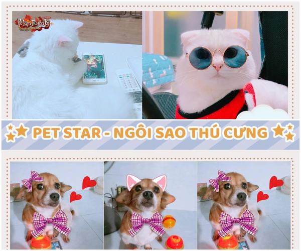 Phận làm Sen, hộ tống Boss đi thi rồi kiêm luôn trợ lý kêu gọi bình chọn