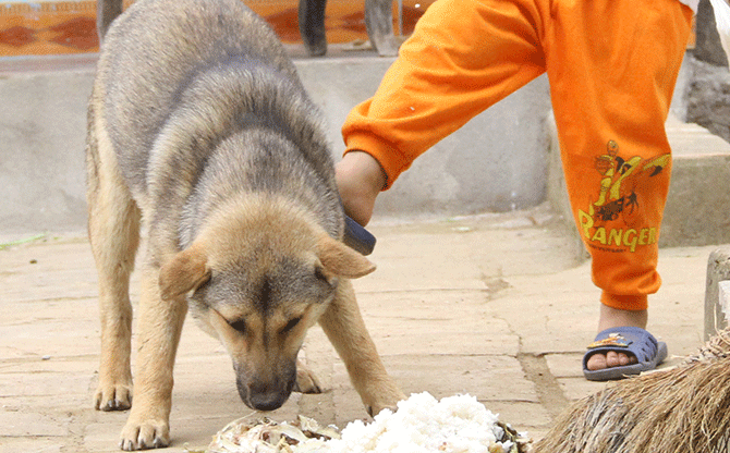 Buộc tội người khác coi chó mèo hơn đứa bé sau 1 sự cố, bà mẹ trẻ khiến CĐM dậy sóng - Hình 1