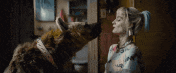 Birds of Prey: Soi 8 chi tiết cực quan trọng trailer đầu tiên của quái nữ Harley Quinn 4