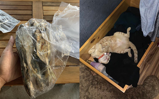 Đi học xa, "sen" bị mẹ sai cầm bọc cá nướng nóng hổi lên cho "quàng thượng" còn mình nhịn thèm: Ủa, ai là con ruột vậy?