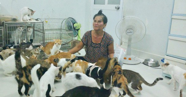 "Bà mẹ" của 400 chú mèo bị tai nạn cũng không dám đi viện vì muốn để dành tiền mua thức ăn cho "các con", bật khóc tức tưởi khi người khác gièm pha là... đi bắt trộm mèo
