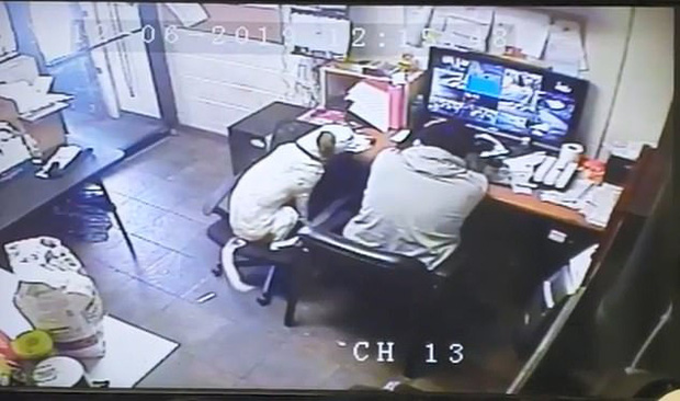 Hình ảnh chú chó ngoan "kéo ghế" ngồi sát lại gần chủ đang làm việc khiến cộng đồng mạng tan chảy vì quá đáng yêu