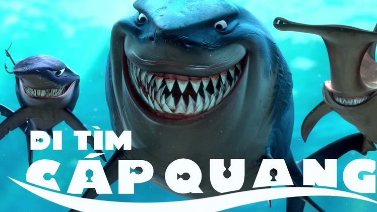 Cáp AAG là gì ? Vì sao nó đứt thì mạng Việt Nam lại chậm