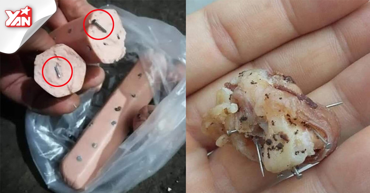 Thủ đoạn vô nhân tính của đội "chăn chó": Xiên đinh vào đồ ăn
