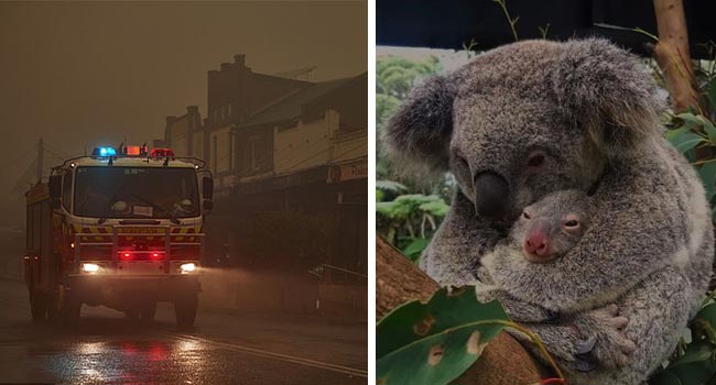 Ơn trời mưa rồi! Trận mưa lớn cứu tinh cho đại thảm họa đã xuất hiện, nhiệt độ giảm làm dịu cơn bão lửa tại Úc