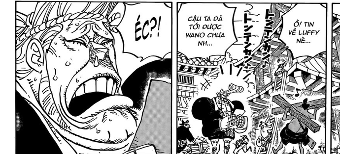 Gương mặt bất ngờ của băng Mũ Rơm khi lên Anime sẽ như thế nào?