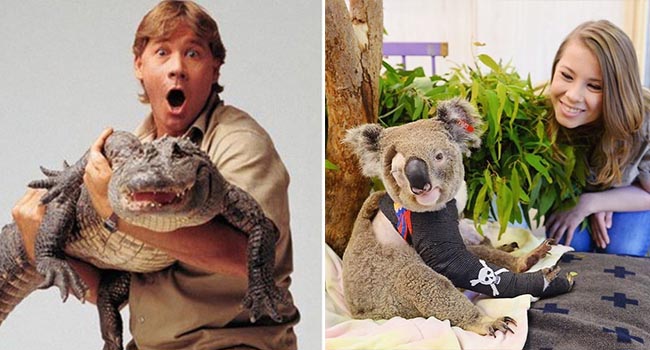 Ra tay cứu chữa hàng nghìn con vật trong thảm hoạ cháy rừng Úc, gia đình “thợ săn cá sấu” lừng danh được dư luận hết lời tán dương