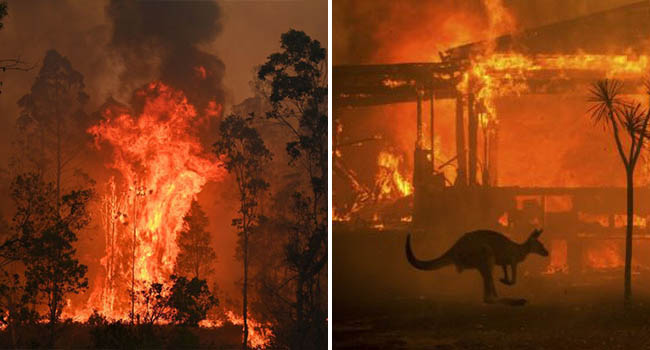 Truy tố 24 người vì tội cố ý phóng hỏa gây ra cháy rừng thảm họa tại Úc: “Họ cảm thấy phấn khích khi nhìn lửa bốc lên”