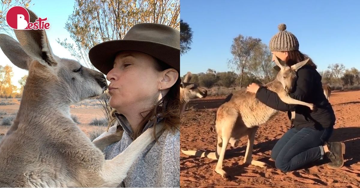 CÔ KANGAROO ĐƯỢC GIẢI CỨU, MỖI NGÀY ĐỀU ÔM TÌNH NGUYỆN VIÊN ĐỂ CẢM ƠN