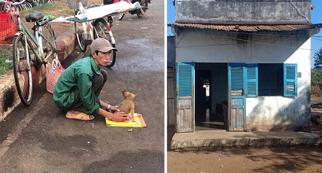 Câu chuyện “Lão Hạc” bán chó giữa đời thật và sự thiện lành ngày cuối năm khiến nhiều người xúc động