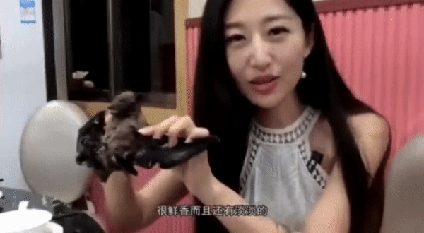 Háo hức thưởng thức súp dơi và hướng dẫn cách ăn, nữ blogger bị chỉ trích đưa ra lời phân trần gây phẫn nộ khi dịch viêm phổi Vũ Hán bùng phát - Ảnh 2.