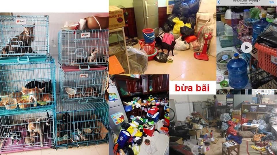 Kinh hoàng quán cà phê mèo có dịch bệnh nhưng vẫn tổ chức mini game cho khách hàng mang mèo đến khiến lây nhiễm chết hàng loạt và nhận mèo hoang nhưng bỏ mặc cho các em sống mất vệ sinh