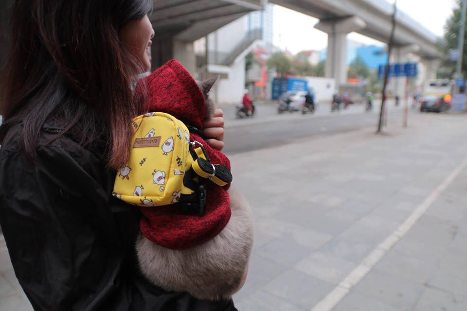 Phơi quần áo thú cưng, nữ sinh bị cả xóm đồn là “chửa hoang”