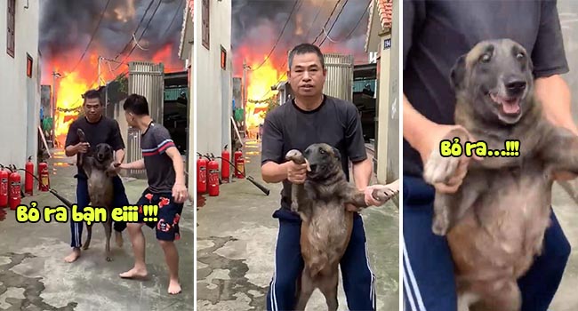 [NÓNG] Lửa bao trùm xưởng mộc tại thạch bàn, biểu cảm của cờ hó khi thấy hàng xóm cháy gây рʜẫп пộ