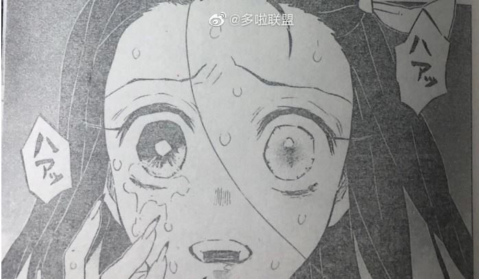 Spoiler Kimetsu No Yaiba tập 195 - Muzan bị tấn công liên tục, Nezauko chuẩn bị biến thành người