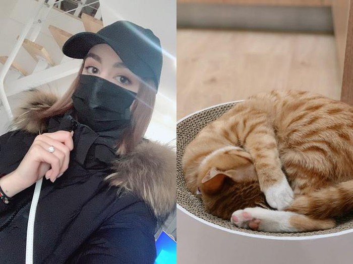 Cô gái ở lại tâm dịch Vũ Hán vì không muốn bỏ lại mèo cưng