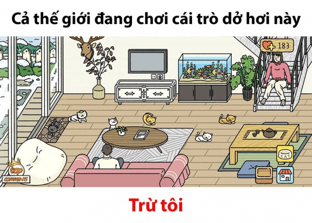 Adorable Home là gì ? Trò chơi giả lập nuôi mèo cực thú vị của giới trẻ Việt Nam