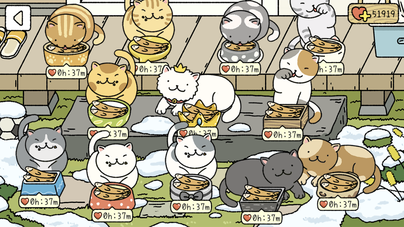 Adorable Home: Cẩm nang nhận diện, nhớ tên và phân biệt bát ăn của các boss