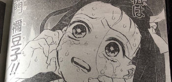 Spoiler Kimetsu No Yaiba Tập 196 - Nezuko hoàn toàn trở thành người, Muzan ngày càng kiệt sức