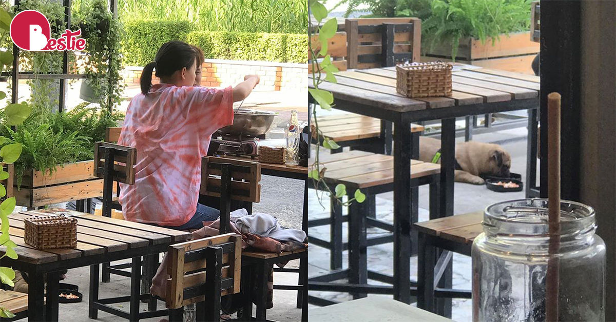 Cô gái bị lên án gay gắt vì cho cún cưng ngồi trên ghế và ăn bằng đĩa nhà hàng