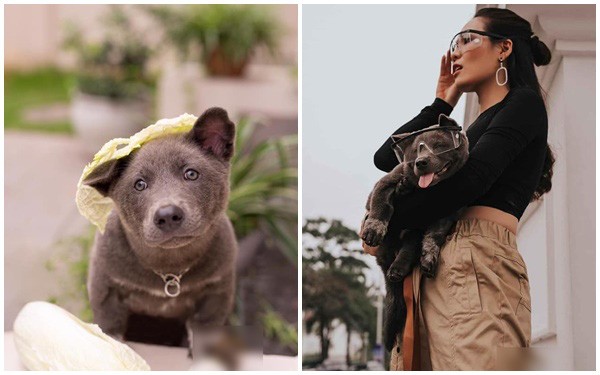 Idol Nguyễn Văn Dúi chuyển nghề làm mẫu ảnh, chẳng những quảng cáo rau củ quả còn lấn sân sang cả thời trang