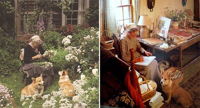 Ngôi nhà cổ tích có thật của bà cụ 92 tuổi khiến ai ai cũng phải trầm trồ, ước mơ