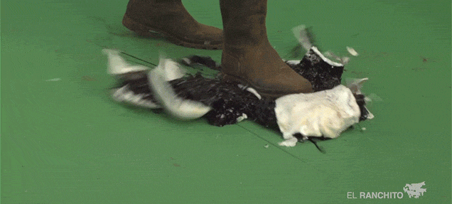 Bóc trần thủ thuật của các bom tấn Hollywood: Vì sao phông nền kỹ xảo lại có màu xanh lá?  5