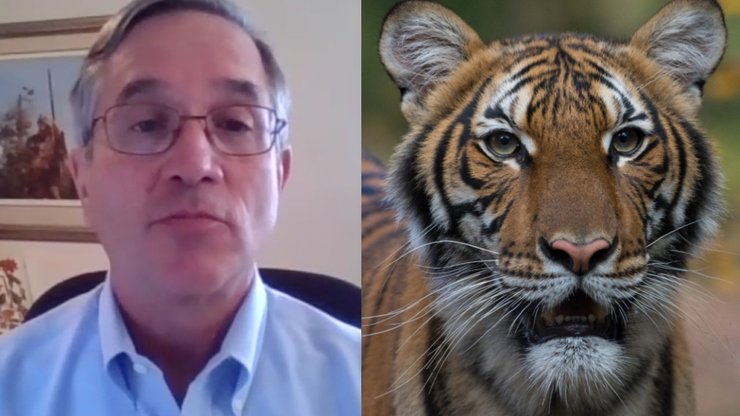 Động vật đầu tiên tại Mỹ có kết quả dương tính với Covid-19