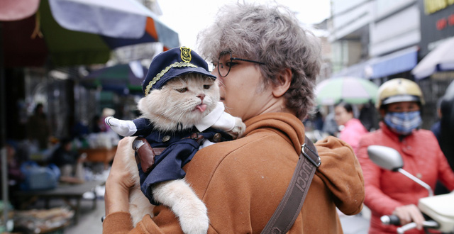 Đảo Mèo - Hội nhóm facebook dành cho người yêu mèo lớn nhất Việt Nam "bay màu" khiến nhiều người hoang mang